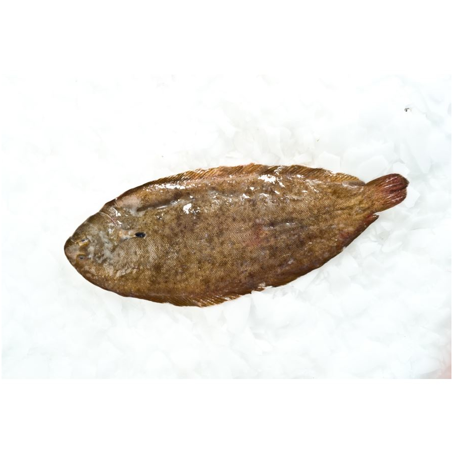 DOVER SOLE FLASH FROZEN MARIE LUXE French food products online