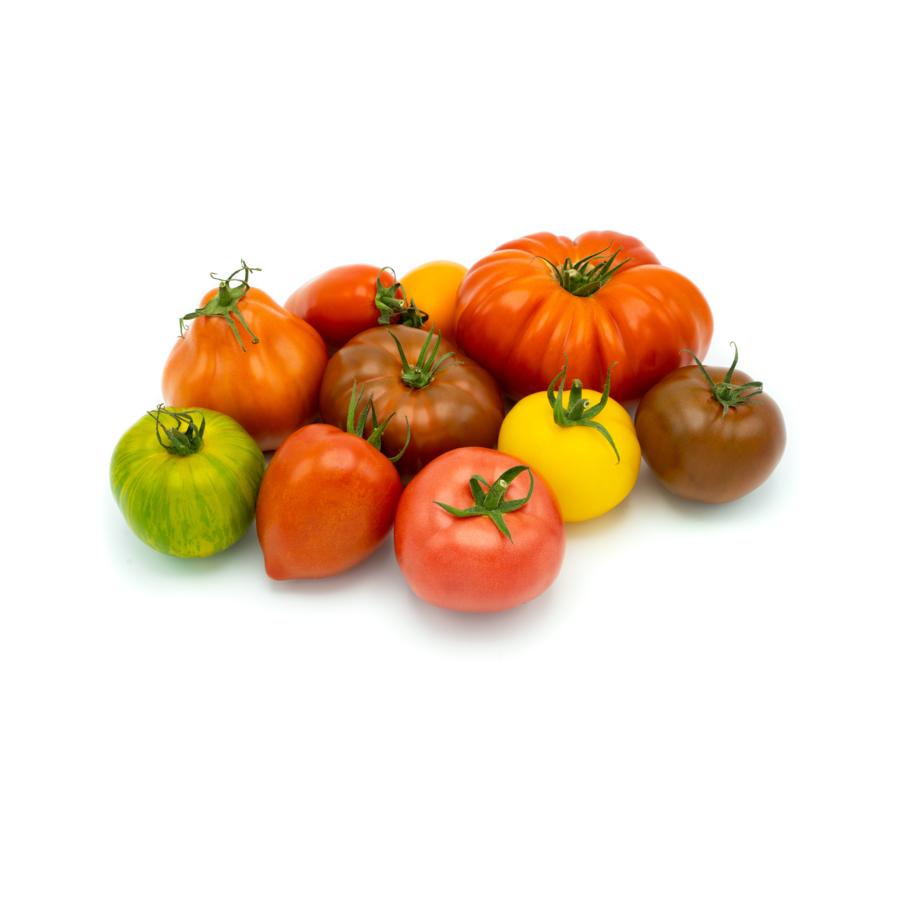 Tomatoes range bio Cerafel Prince de Bretagne French food products