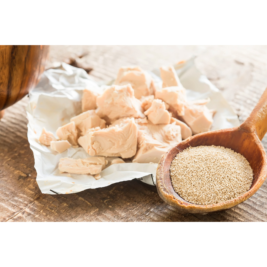 Yeast Extract SENSIENT SAVORY FLAVORS France French food products online from Taste France Food