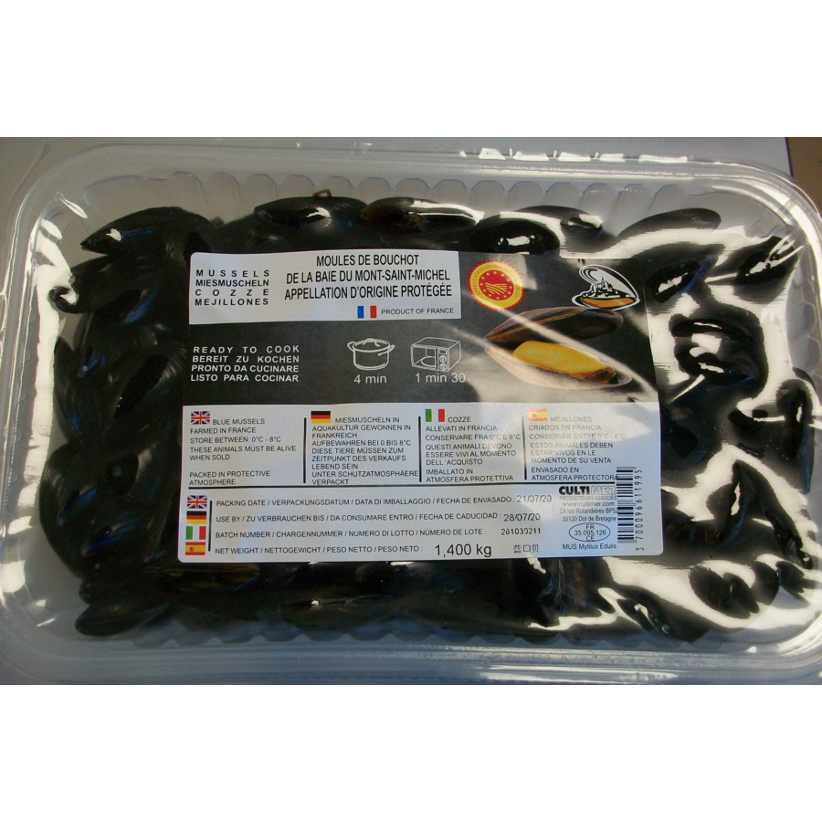 Bouchot mussels PDO Mont St Michel bay / France export / Organic