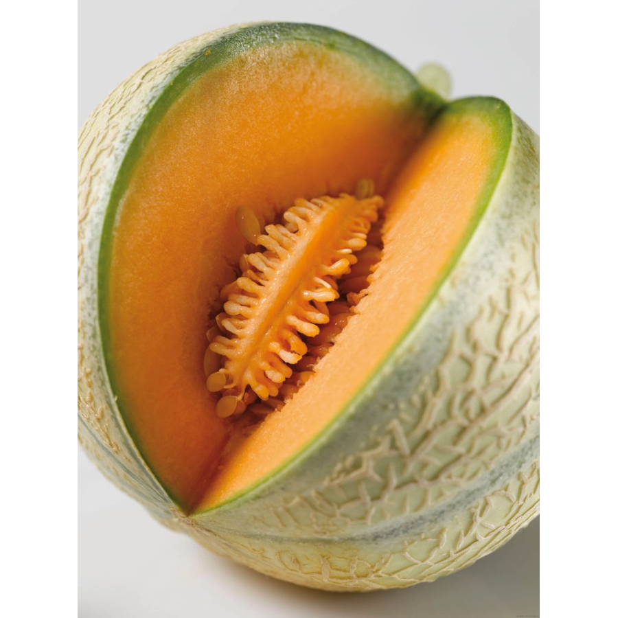 Melon charentais SOLDIVE French food products online from Taste